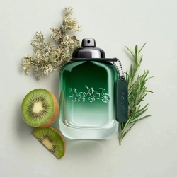 عطر كوتش نيويورك جرين الرجالي او دو تواليت 100مل Coach New York Green Eau de Toilette for Men 